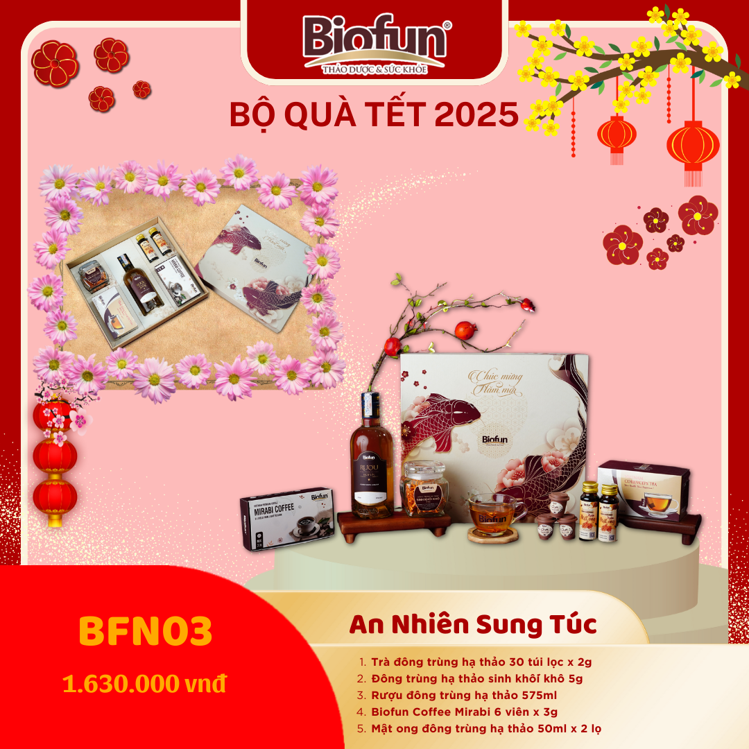 Bộ quà tặng Tết 2025 - An Nhiên Sung Túc BFN03